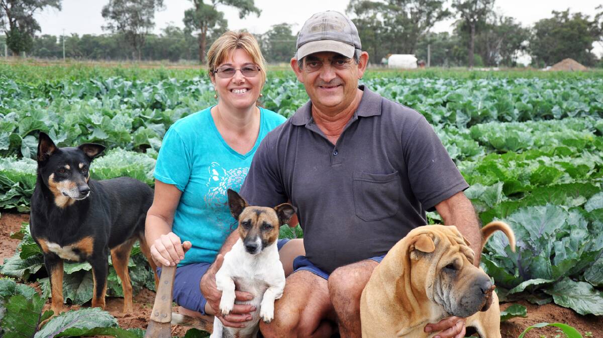 Christine and Charlie Galea with their latest crop.