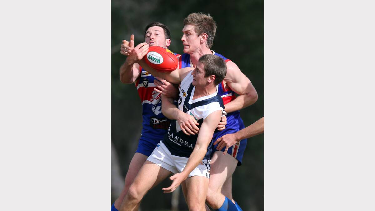 Click or flick across for more action photos in sport. Pictures: DYLAN ROBINSON, TARA GOONAN, JOHN RUSSELL and PETER MERKESTEYN 
