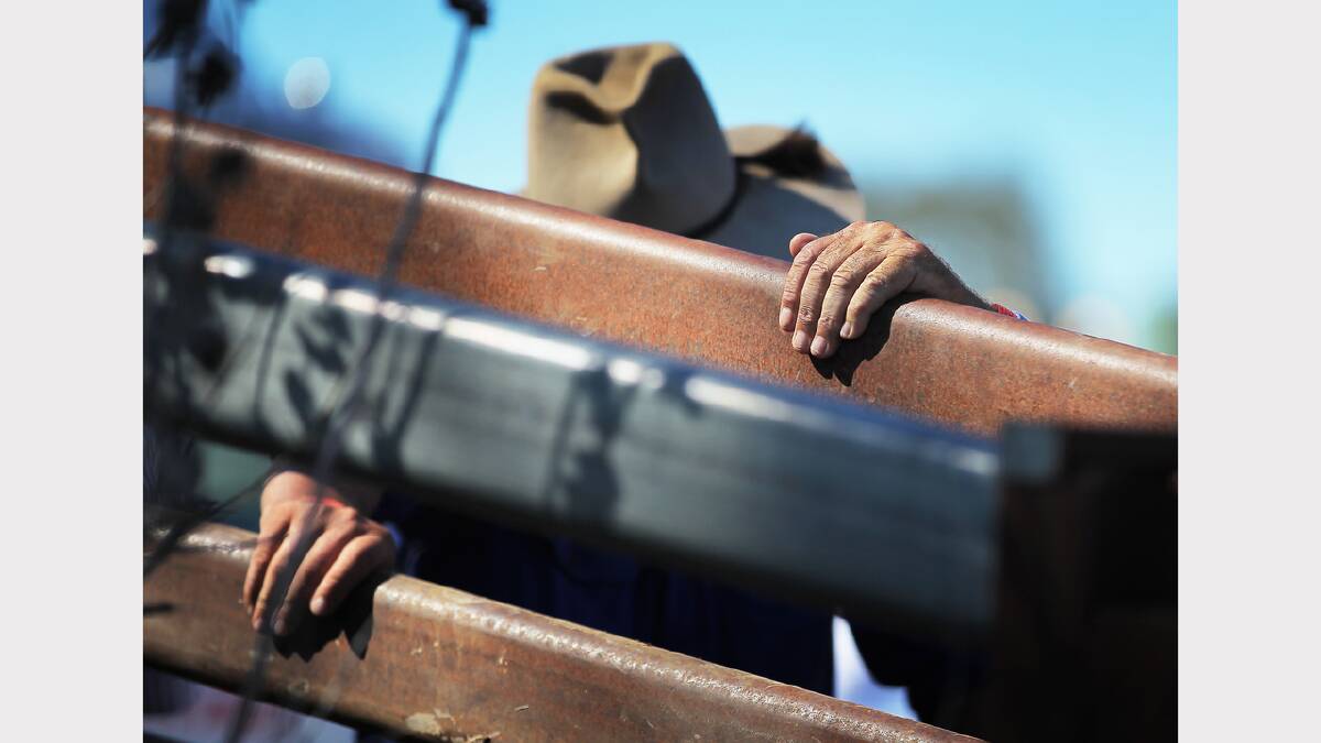 MAN FROM SNOWY RIVER FESTIVAL: Scott Bandy a household name today | PICTURES