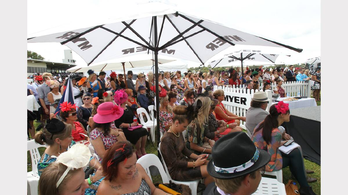 Click or flick across to see more pictures from the 2014 Albury Gold Cup Fashions on the Field.