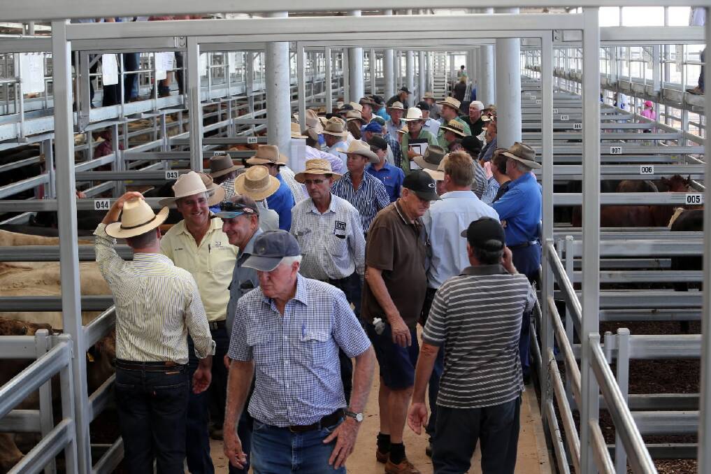 Some meat processors boycotted Tuesday’s prime cattle sale at Barnawartha North. Picture: PETER MERKESTEYN