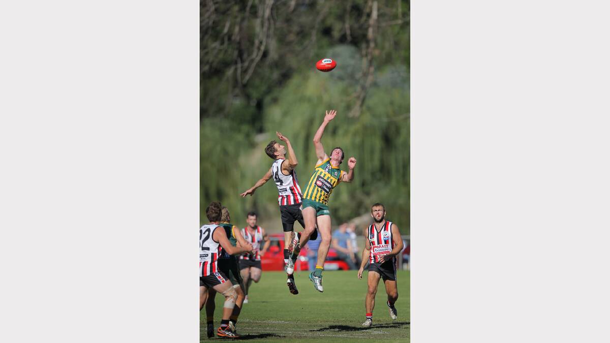 Click or flick across for more action photos in sport. Pictures: DYLAN ROBINSON, KYLIE ESLER, MATTHEW SMITHWICK and PETER MERKESTEYN 