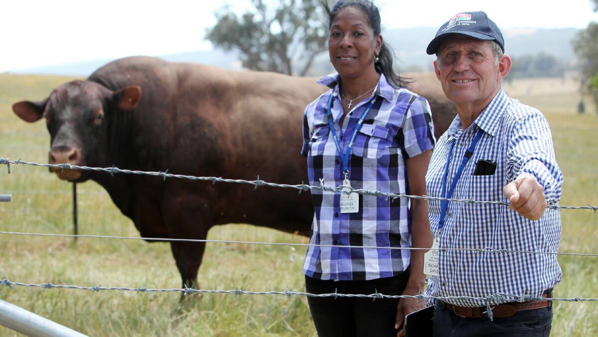  Heather Wellington,  from Jamaica, and Richard Daley, president of the Australian Red Poll Breeders Inc at the Red Poll international conference at Eurimbla Red Polls stud, Gerogery; Picture: Matthew Smithwick
