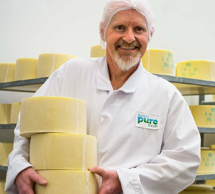 Beston Global Food Company expects to eventually reap premium returns from aged cheddar produced by its Edwards Crossing Cheese Company head cheesemaker, Lewis D’Angelo, but in the meantime has spent more than budgeted on milk purchases while also trying to improve earnings from its dairy farms.