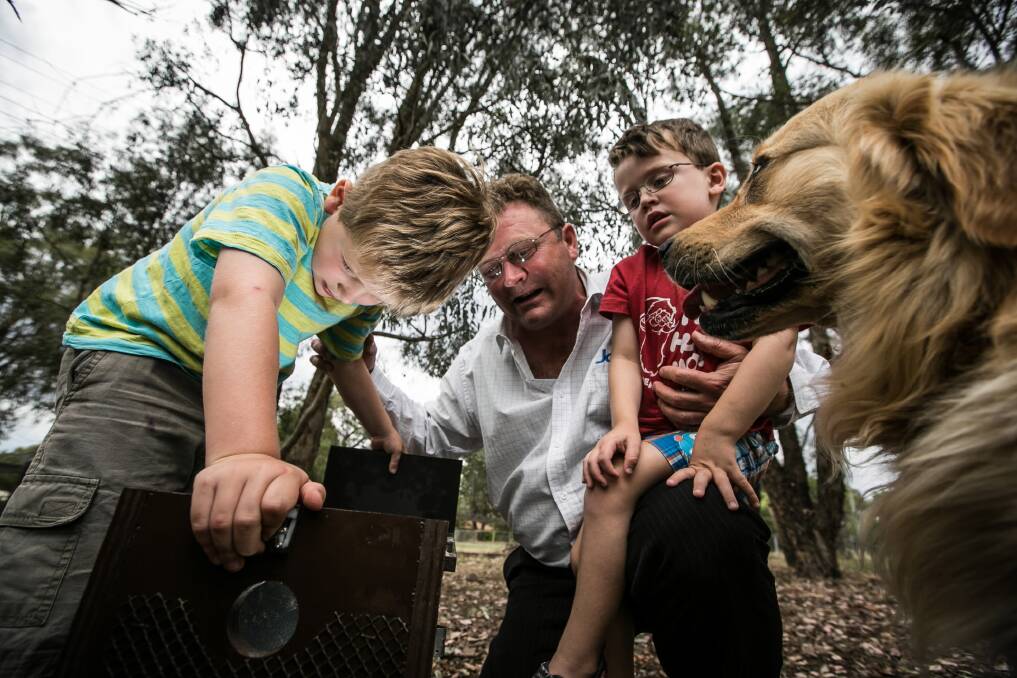 Thurgoona’s Paul Frauenfelder and his sons Max, 3, and Sam, 5, have installed a squirrel glider nest box in their backyard to protect the species. Mr Frauenfelder hopes Max and Sam will have a chance to learn about the animal. Picture: DYLAN ROBINSON