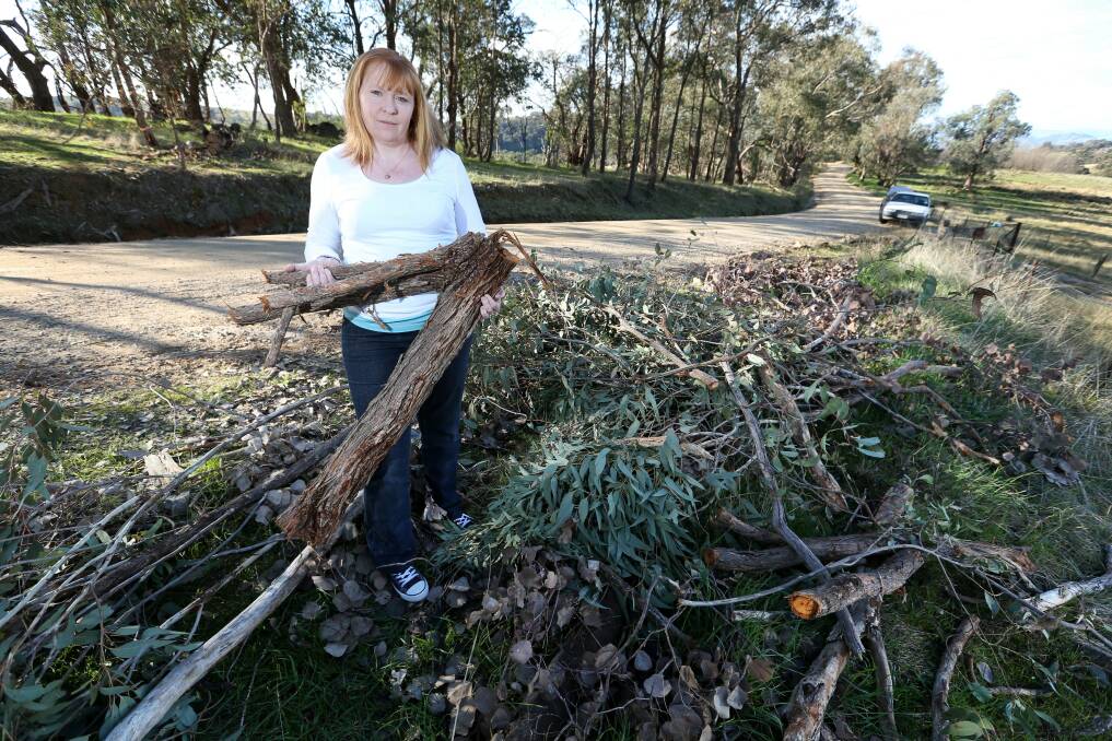  Rhonda Strauss was frustrated after Wodonga Council failed to respond to her call to remove the fallen tree. Picture: MATTHEW SMITHWICK