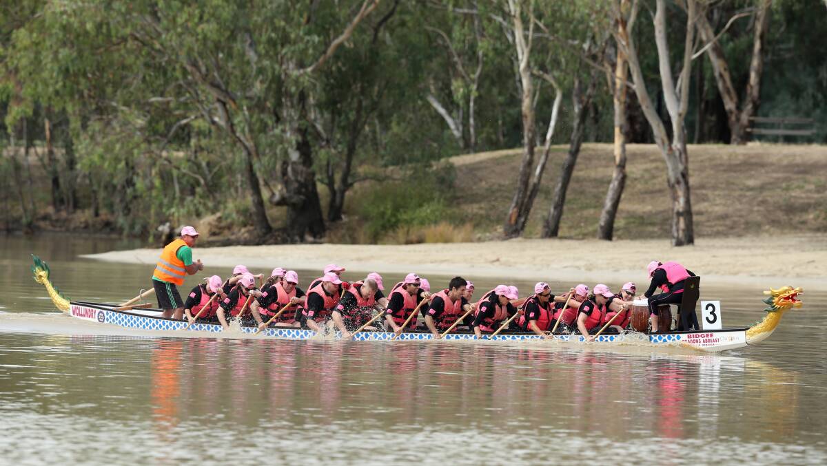  The Albury City team in a dragon boat race against City of Wodonga on Gateway Lakes.