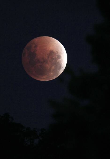 The lunar eclipse cast a pink moon over the Border. Picture: DYLAN ROBINSON