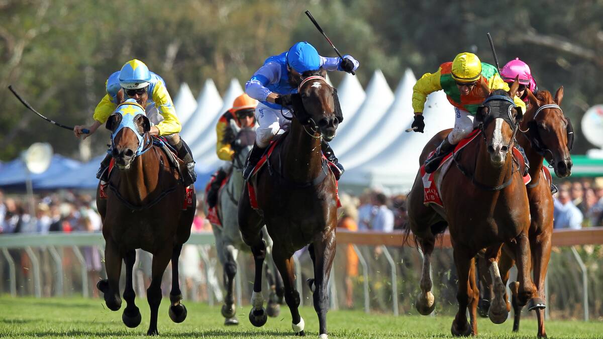 Niblick (centre, blue) rides home to ultimately win the 2013 Albury Gold Cup. Picture: MATTHEW SMITHWICK