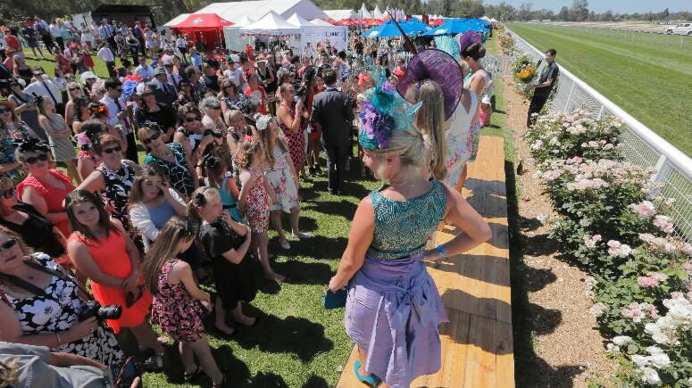 Melbourne Cup Day races | Albury, Corowa, Wangaratta gear up for great day