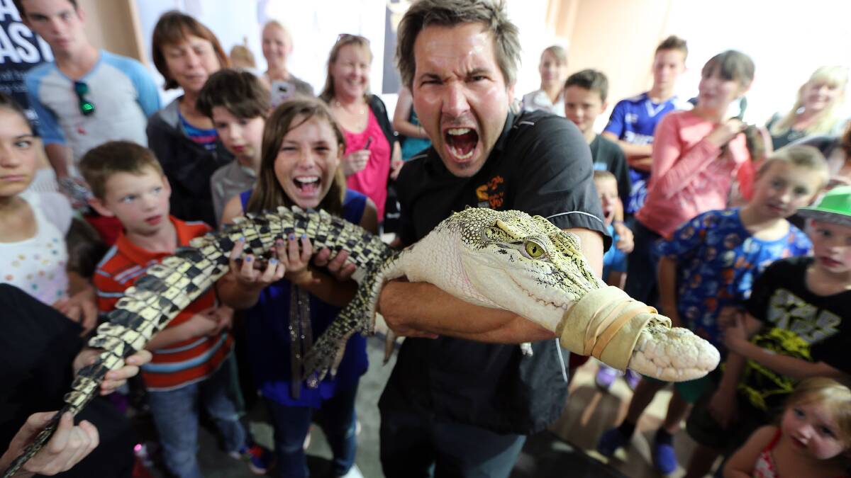 Chris humfrey holds up a saltwater crocodile he brought to Myer Centrepoint as part of his travelling zoo. Pictures: JOHN RUSSELL