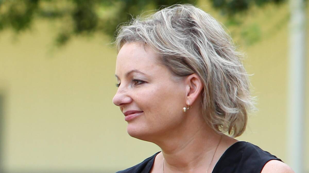Federal MP Sussan Ley