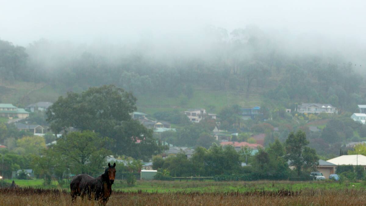 A horse stands in the wet weather in a paddock close to Mungabareena Reserve as fog wraps itself around Eastern Hill. Picture: MATTHEW SMITHWICK