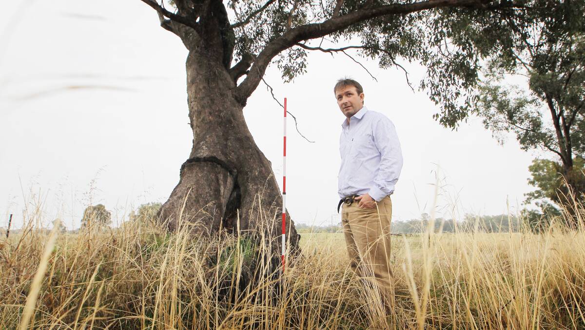Michael Dunn pictured with an Aboriginal heritage tree on Barnawartha-Howlong Road.