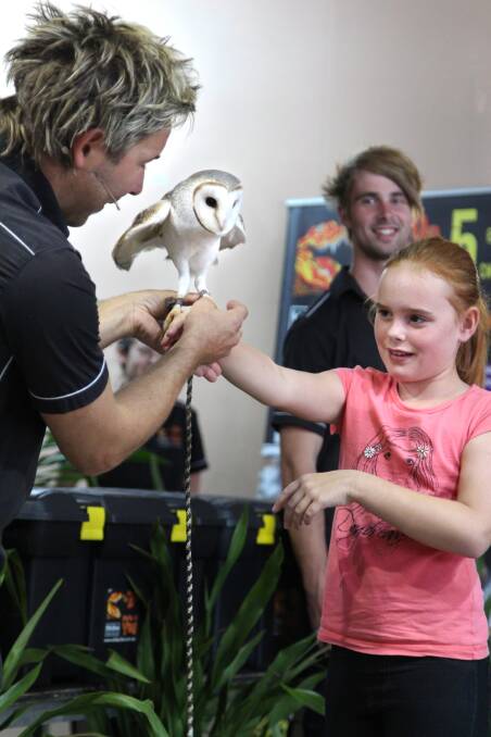 Chris Humfrey presents an owl to a little girl. 