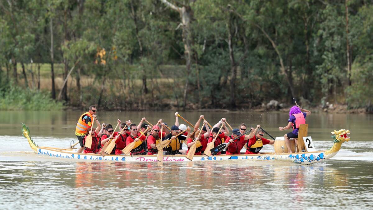  The City of Wodonga team in a dragon boat race against Albury City on Gateway Lakes.