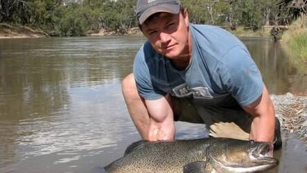 The department's fisheries staff member Mark Stimson with a Murray cod.