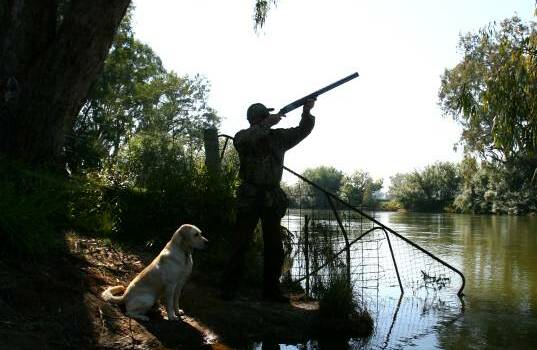  Victorian duck hunters have been given a full-length season beginning March 19, but with restrictions on bag and species limits.