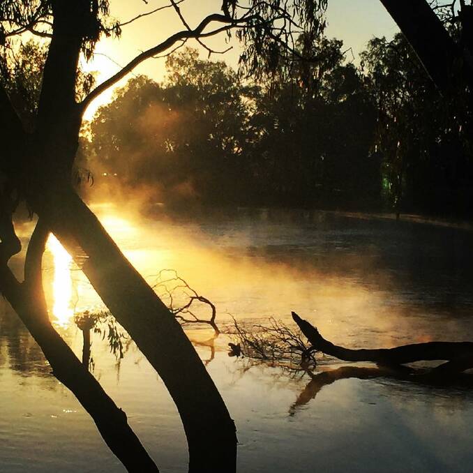 @river_deck: Mist on the Murray River this morning! We have warm treats to get you going!
#murrayriver #misty #river #sunrise #winter