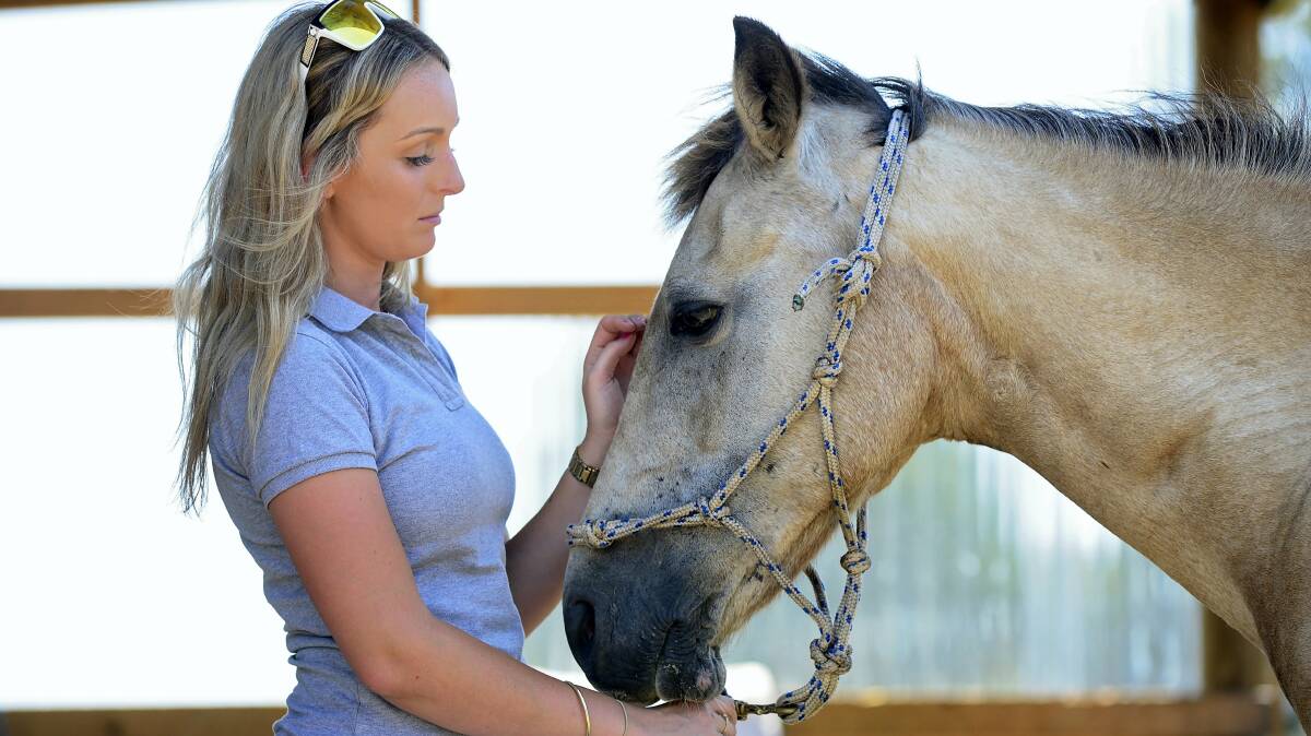 Owner Courtney Laskey comforts her beloved 30-year-old horse, Gemma, recovering from a malicious attack last week. Picture: PHILLIP BIGGS