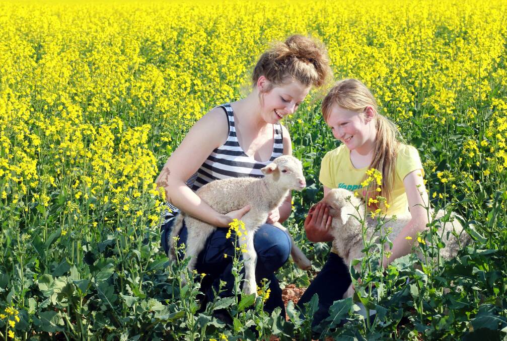 Sally Corrigan, 15, with her sister Grace Corrigan, 11, with Spring Lambs on their Burrumbuttock farm. Picture: KYLIE ESLER
