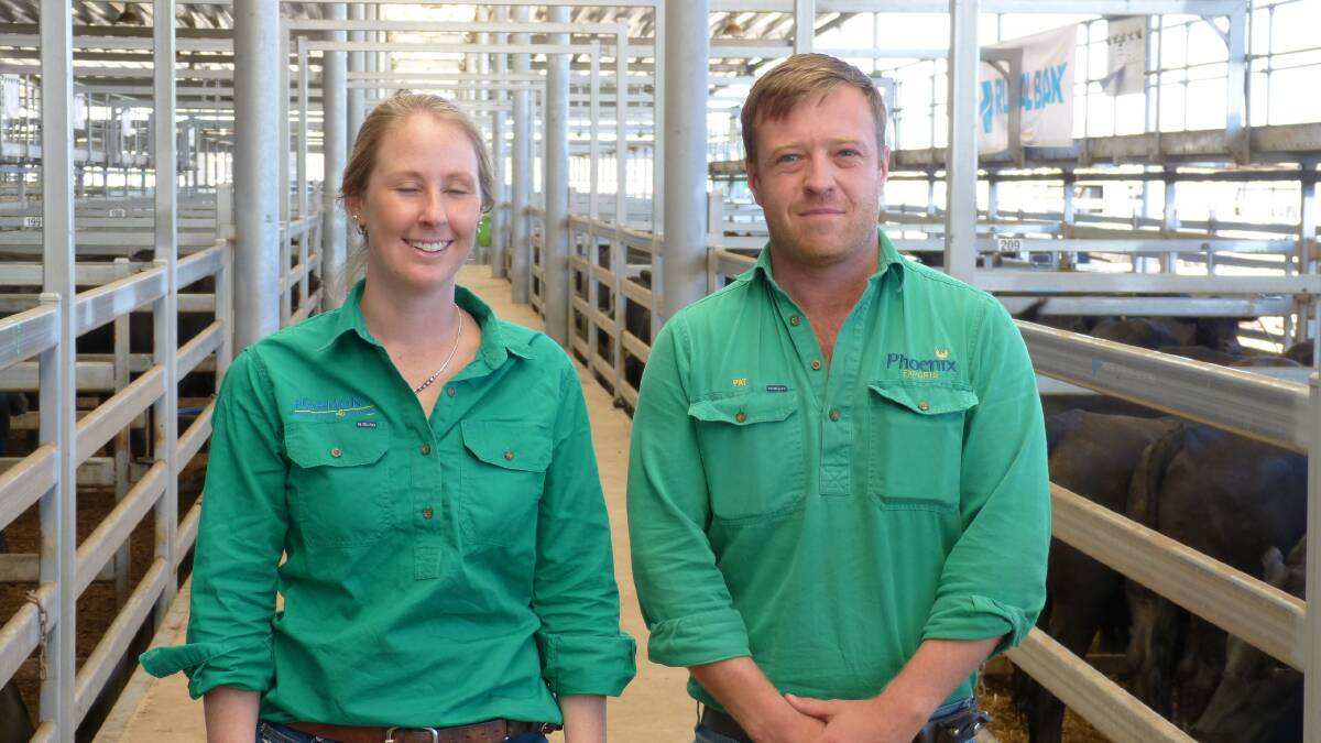 Harmony Agriculture were major buyers at the annual Wodonga calf sales. Eastern Operations Manager Pat Fellows, and Performance Analyst Nat Poole were there.