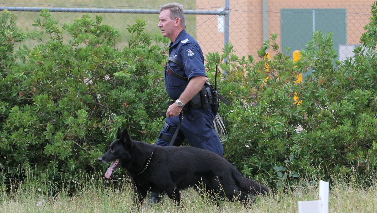 SEARCH: An officer with a sniffer dog on Halls Road. Picture: BLAIR THOMSON