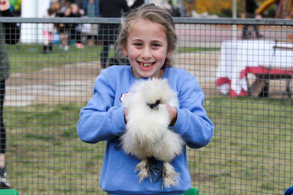 ALL SMILES: Amitee Turnbull, 8, poses with a chicken at the event on Sunday. Pictures: BLAIR THOMSON