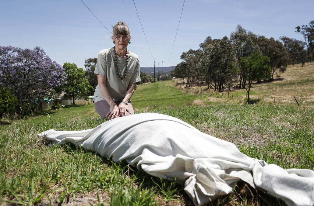 CONCERNED: Angela Lownie is concerned about dogs cruising around a green strip in Springdale Heights. A wallaby, pictured under a blanket, was mauled at the weekend and had to be put down. Picture: JAMES WILTSHIRE