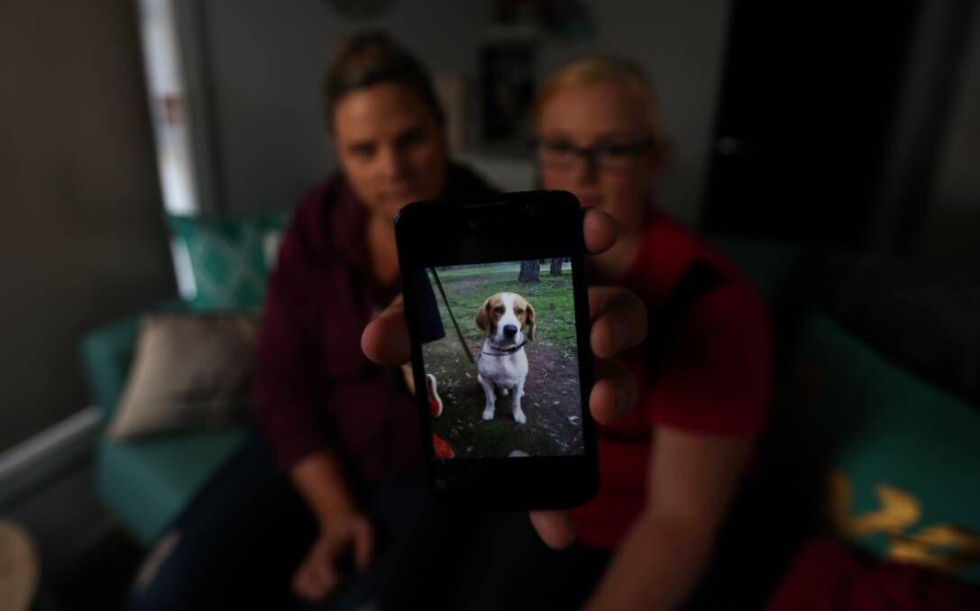 GONE: Michelle Giffin and her friend Enisa Bennett with a picture of Popper, who is thought to have been stolen. Picture: JAMES WILTSHIRE