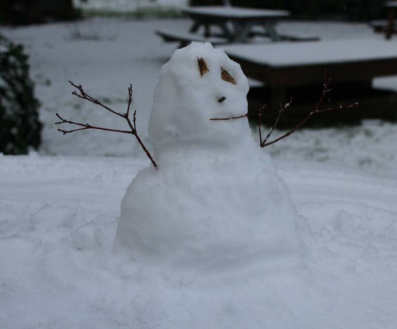 FROSTY: A snowman posted on the Stanley Pub Facebook page. 