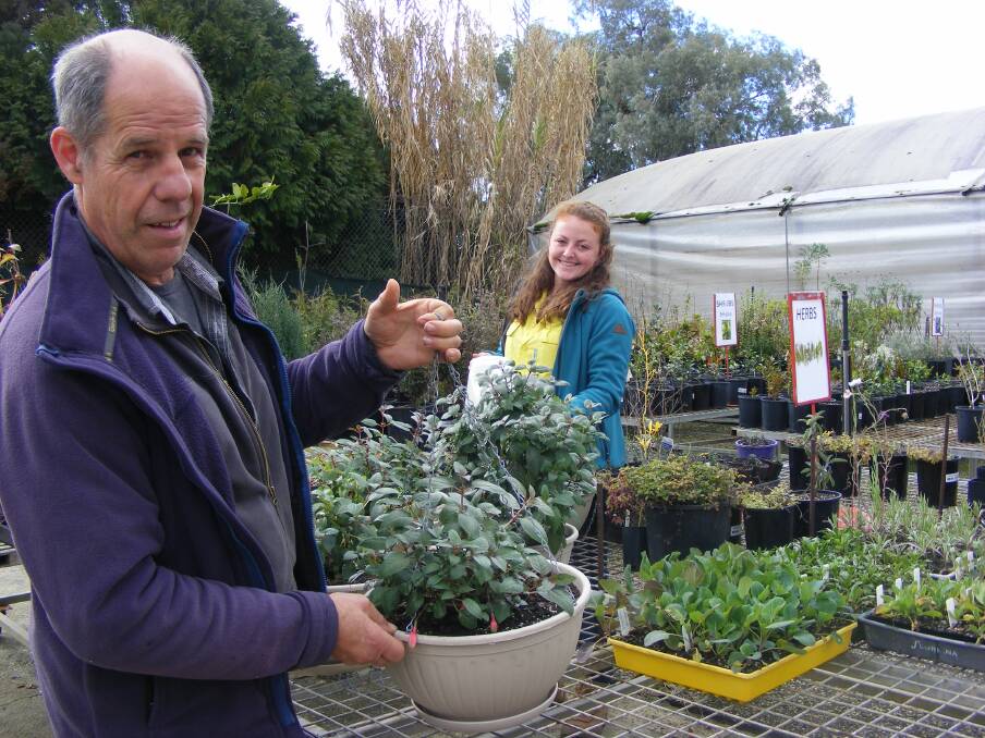 PREPARE: Horticulture students Mark Denton and Bree Meindl maintain the Fuchsia baskets at the Wodonga TAFE nursery.