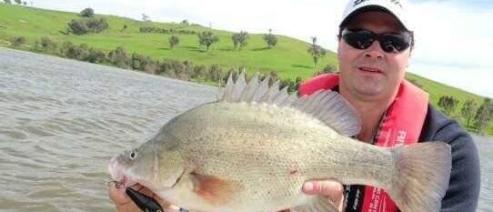 NICE ONE: Collin Robinson caught this nice yellowbelly at Lake Hume. 
 