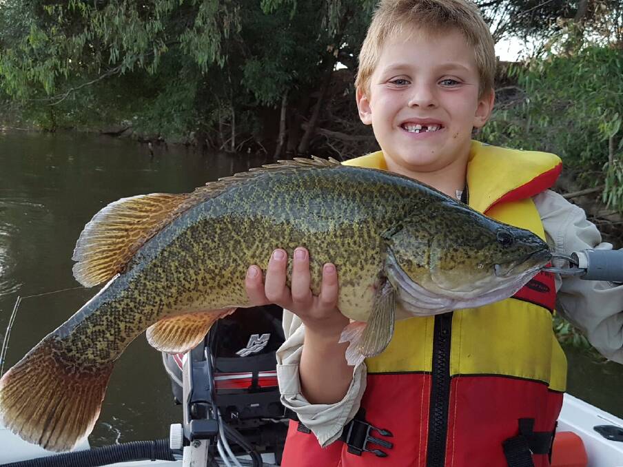 What a beauty: A proud Toby Harris with a 57cm Murray cod he caught in the Murray River recently. Great catch by the young fella!