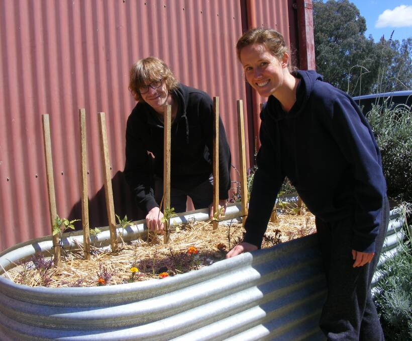 ESTABLISHED: Wodonga TAFE Certificate III Horticulture students Josephine Greenhalgh and Bill Meares with a newly established raised vegetable garden.