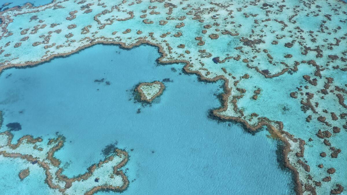 State of the reef is on the decline