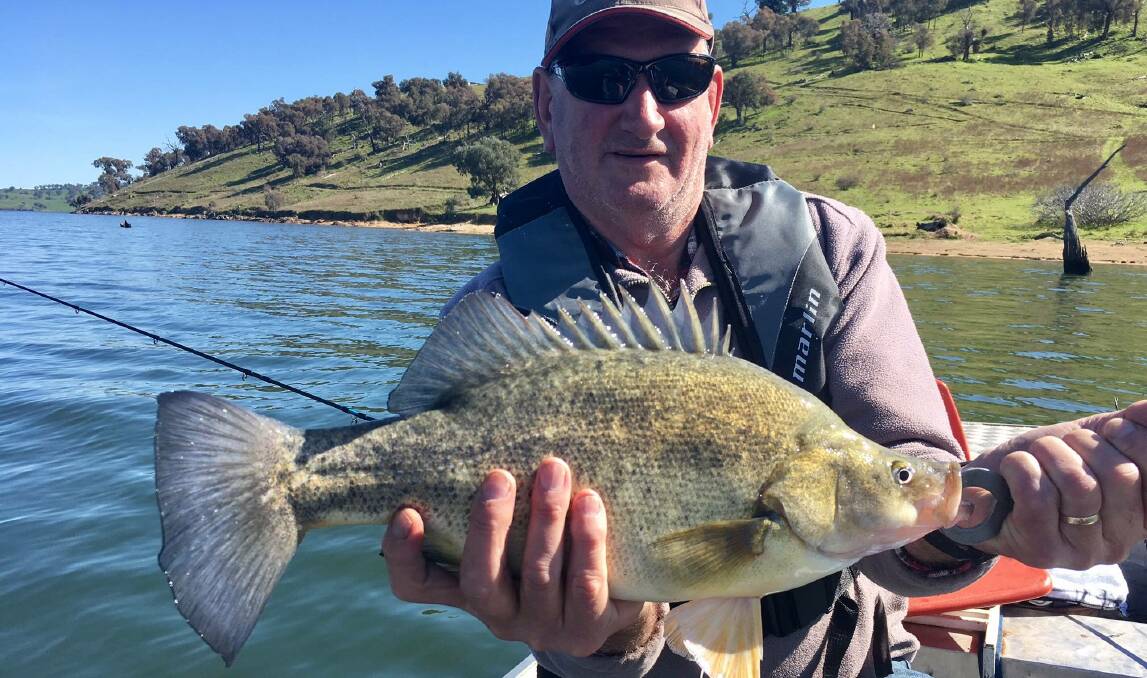 LOOKING GOOD: Reg Walsh posing with a nice yellowbelly from Lake Hume on the weekend. Lake Hume is still more miss than hit, but most are appearing around 8-12m.