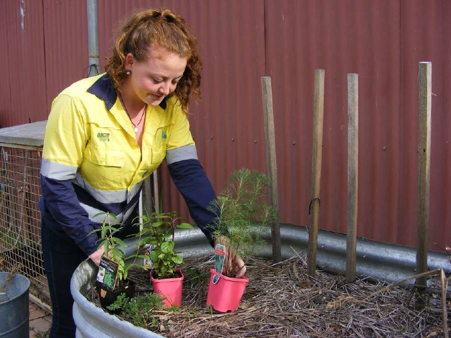CLEVER: Bree Meindl preparing to plant a few strong scented plants in a raised vegetable garden at Wodonga TAFE.