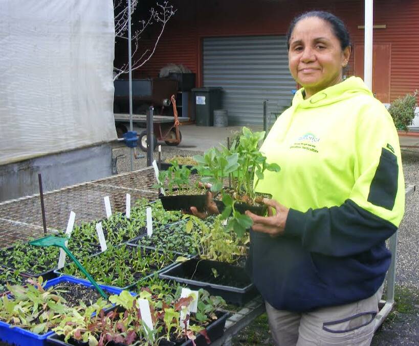 TIME: Now is a great time to plant peas and beans. Wodonga TAFE staff member Kerry McNiven with punnets of peas and beans.