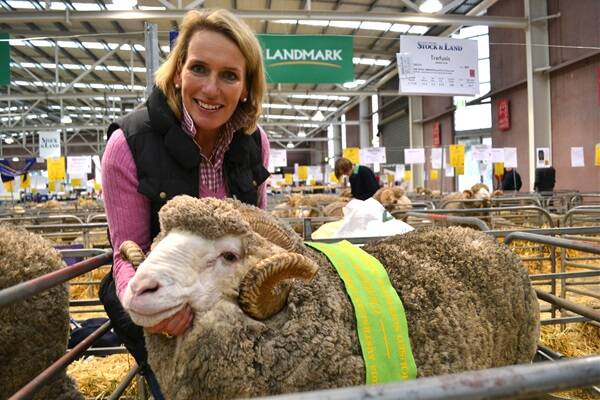 HISTORIC WIN: A 9.1kg extra superfine fleece, exhibited by Trefusis co-principal Georgina Wallace, Tasmania, has taken out grand champion title in the Australian Fleece Competition.