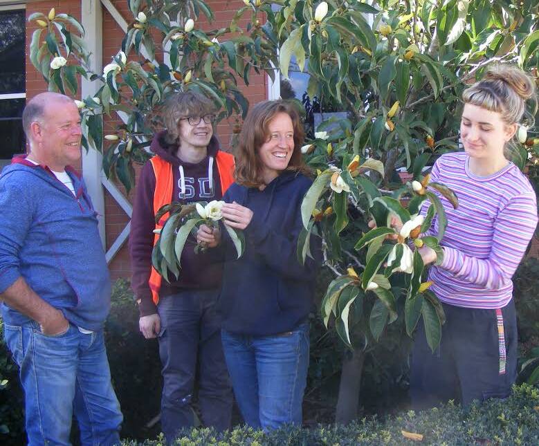 BEAUTY: Wodonga TAFE horticulture students Darren Dennis, Bill Meares, Jo Greenhalgh and Allie Strange with a beautiful Magnolia doltsopa. Note the number of buds ready to open on the Magnolia, what a sight this will become.