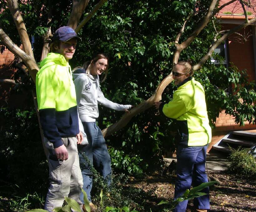 BEAUTY: First year parks and garden apprentices Chris Fuery (Westmont Aged Care Services),  Rebecca McCabe (City of Greater Bendigo) and Aimee Flasza (Greater Shepparton City Council) admiring the trunk of a crepe myrtle.
