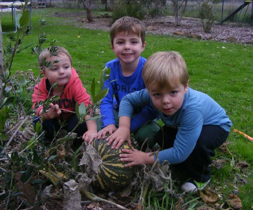 FUN: Jack Delahunty, 3, Harry Reid, 4, and Oscar Reid, 3, are outdoor boys who love getting into the garden and getting muddy.