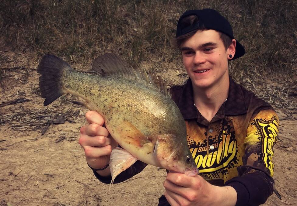 CATCH: Connor Heir holding an iconic springtime golden perch caught on a Kuttafurra mudhoney, released. Want to share your catch? Send your fishing photos to 0475 947 279 or 0475 953 605.