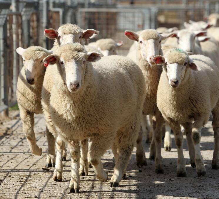 BE AWARE: Disease surveillance and reporting can be undertaken by all livestock producers. 