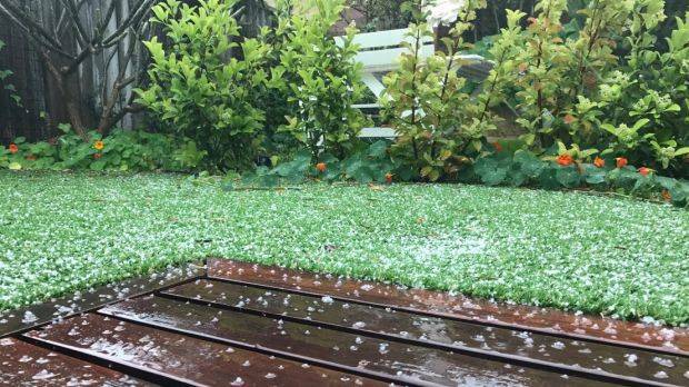 Els Van de Veire captured hail falling in the backyard of her Perth home. Photo: Els Van de Veire / Twitter