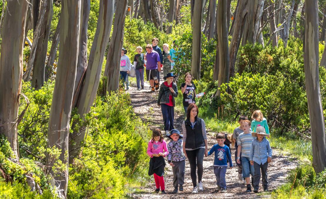 Inequality: Catering for high-end tourism spending in our national parks, a reader says, ignores the way these areas are now used for dedicated bushwalkers.