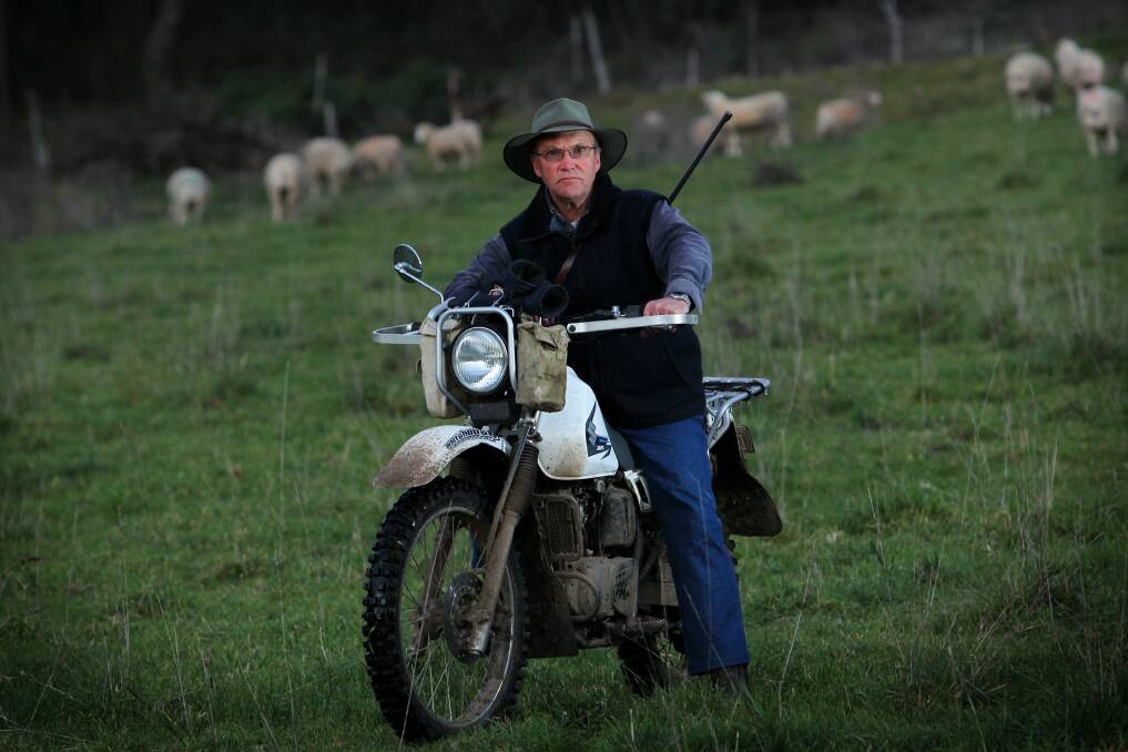 ALERT: Stuart Morant is one of the few farmers in the Tallangatta Valley still running sheep. He says while it's quiet now, that can change quickly.