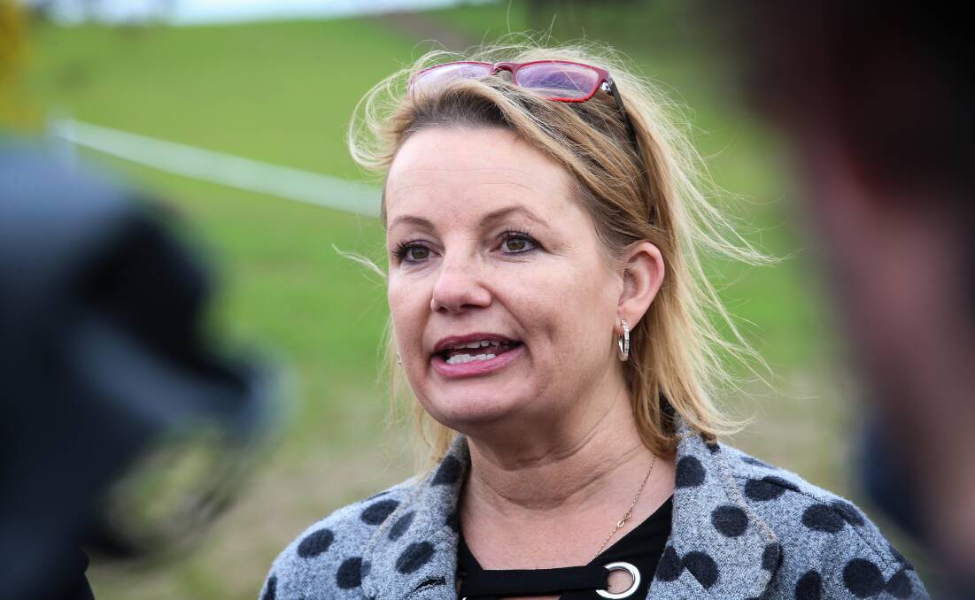 DISGUST: Politicians such as Sussan Ley have no right to object to a closer examination of MPs' citizenship status, a reader says.