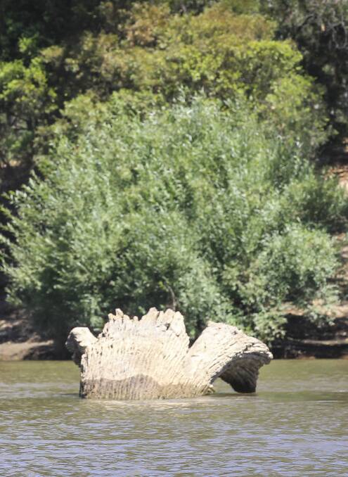BOATERS BEWARE: The Murray River includes a few obstacles this summer.